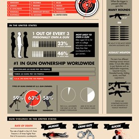 Infographics: Gun Crime & Ownership Infographic